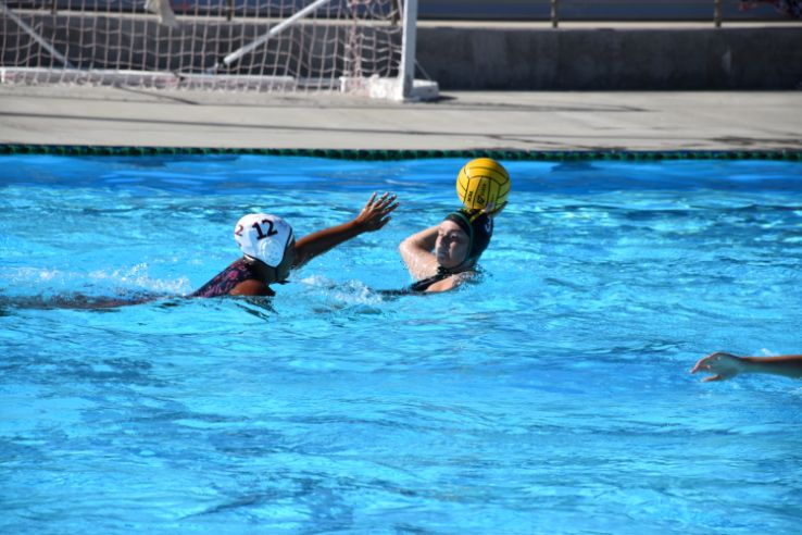 Water polo players