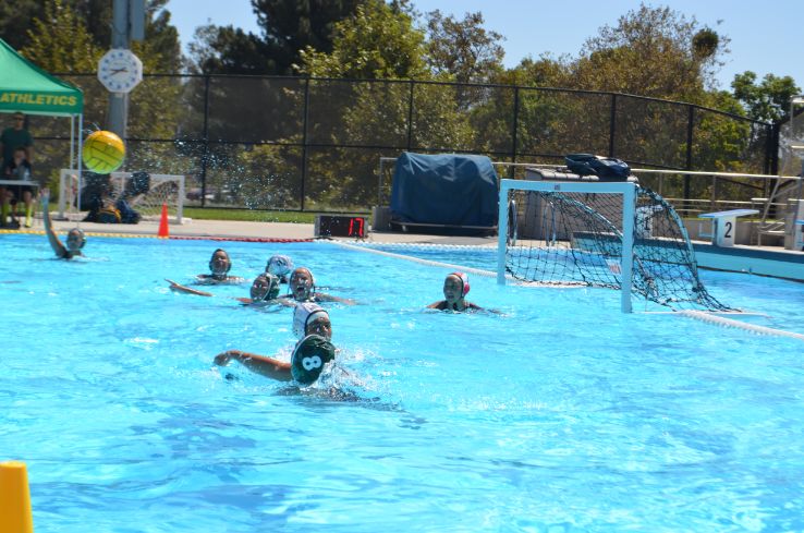 Water polo players