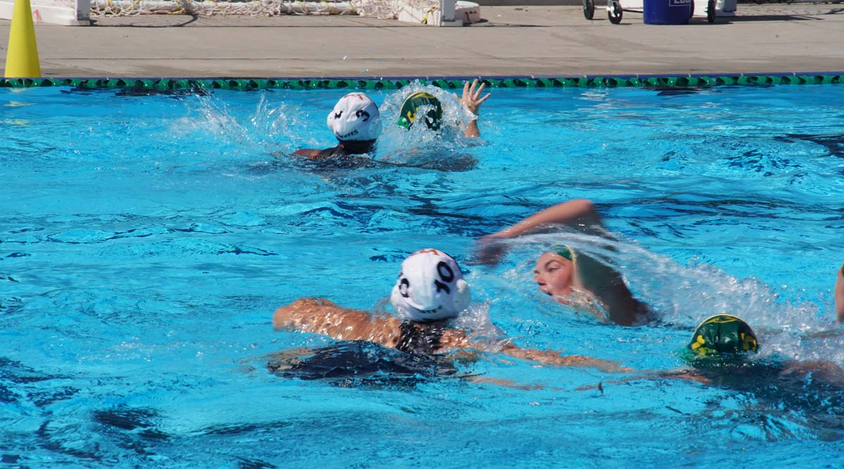 CHC Women's Water Polo Team