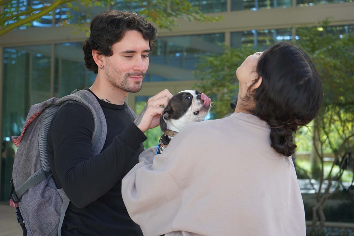 Therapy dogs and cats visit CHC students.