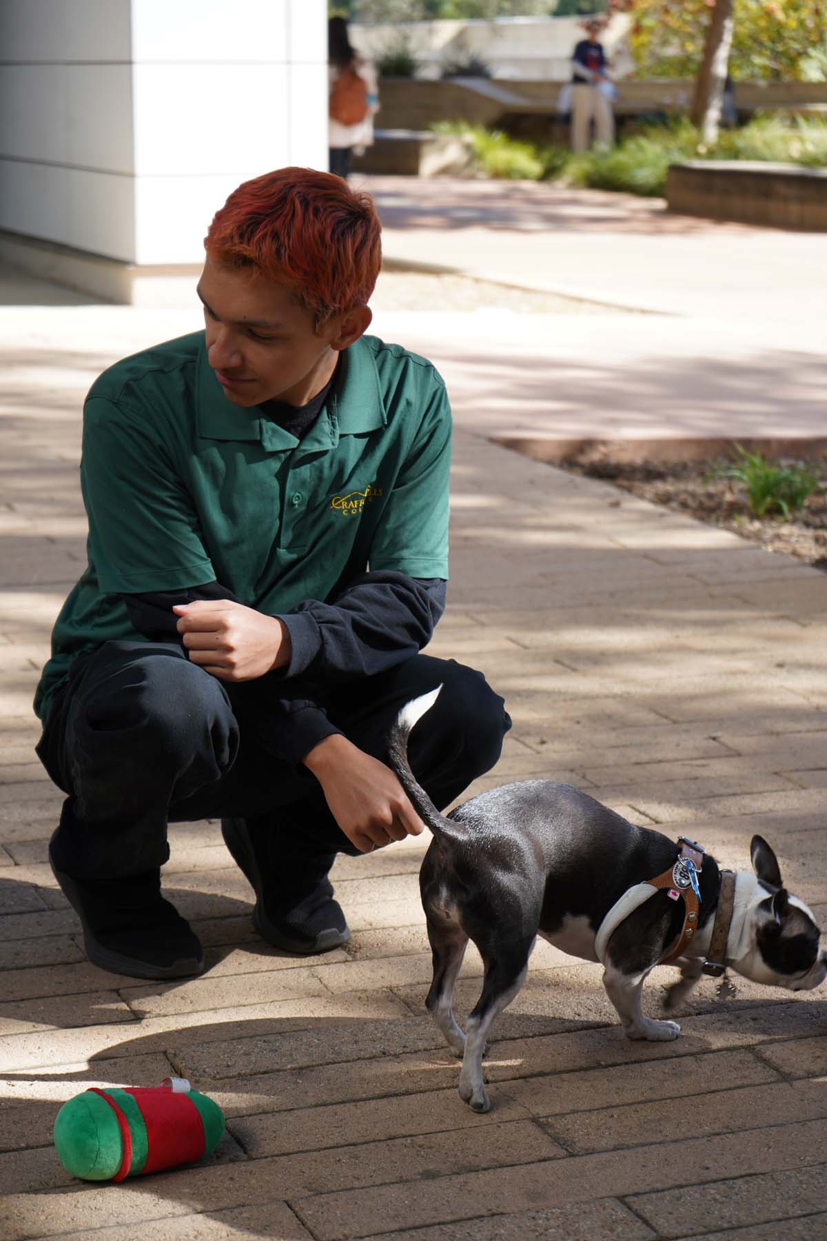 Therapy dogs and cats visit CHC students.