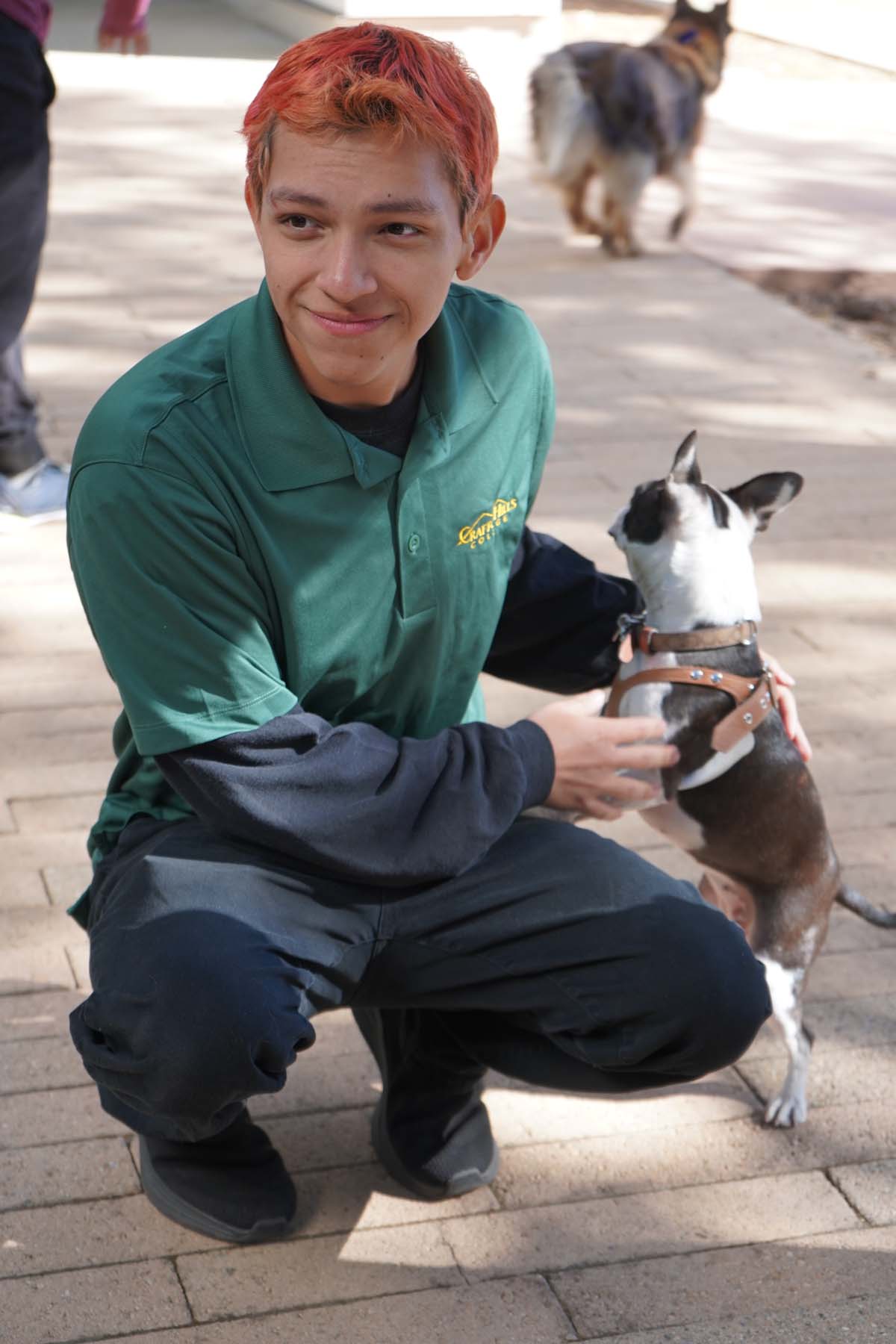 Therapy dogs and cats visit CHC students.