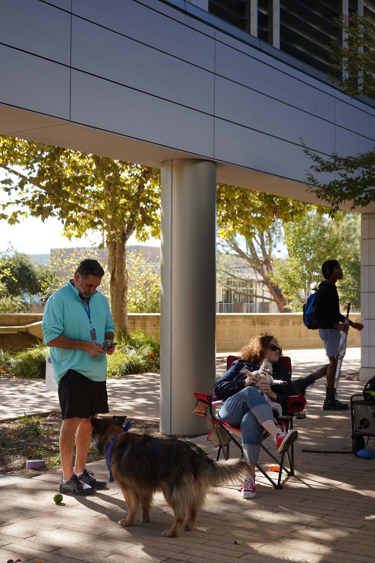 Therapy dogs and cats visit CHC students.