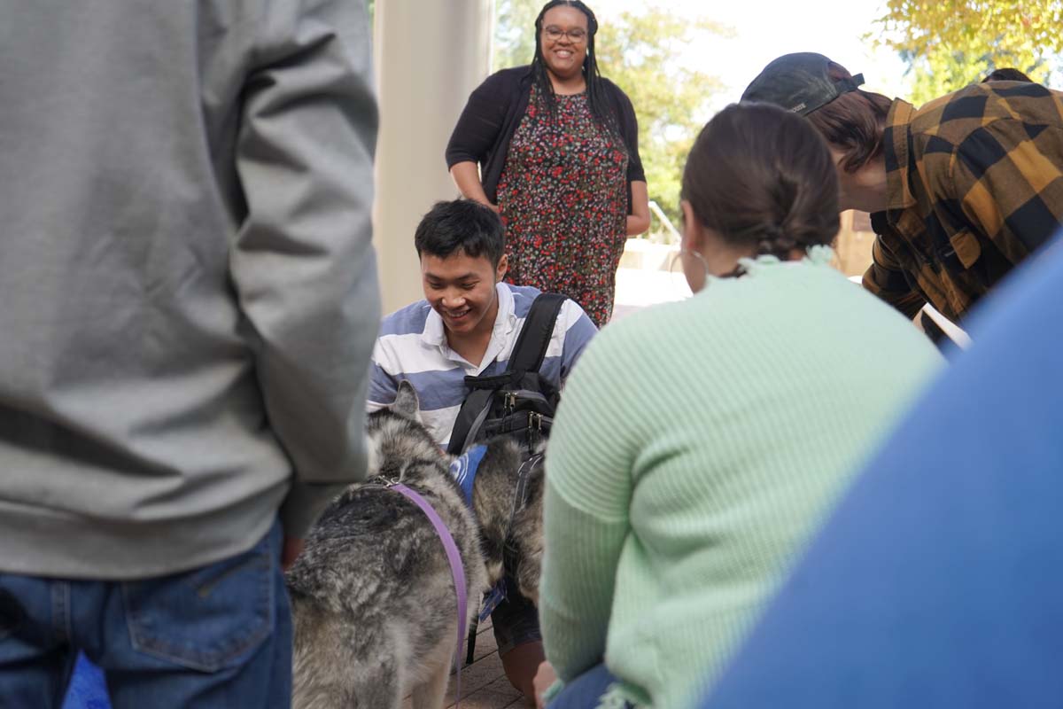 Therapy dogs and cats visit CHC students.