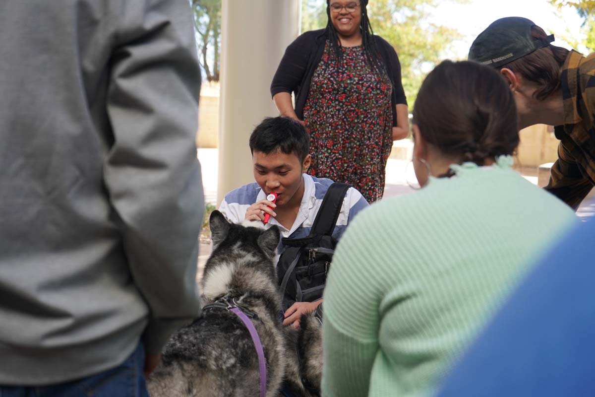 Therapy dogs and cats visit CHC students.