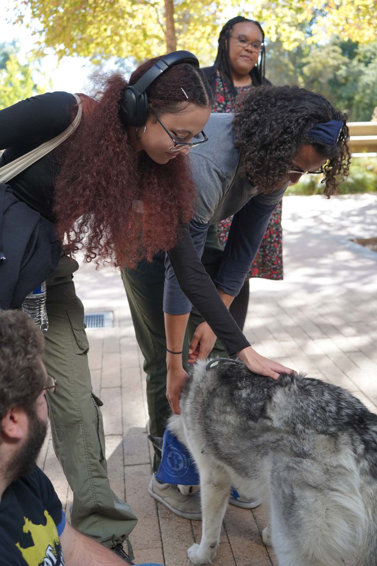 Therapy dogs and cats visit CHC students.