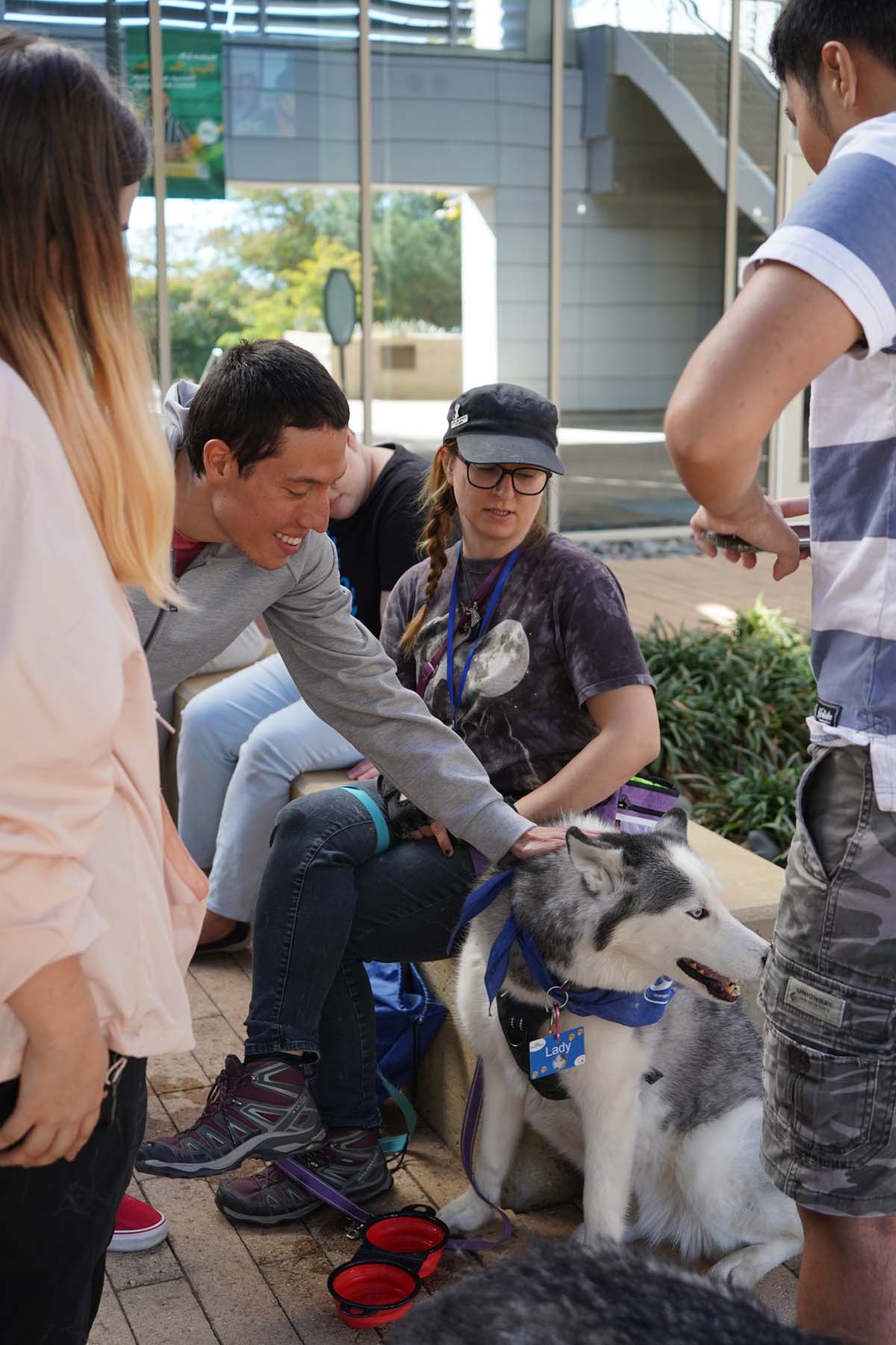 Therapy dogs and cats visit CHC students.