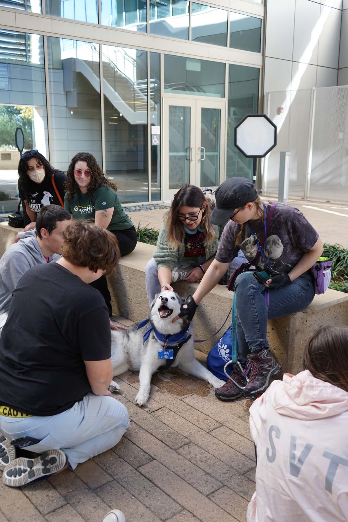 Therapy dogs and cats visit CHC students.