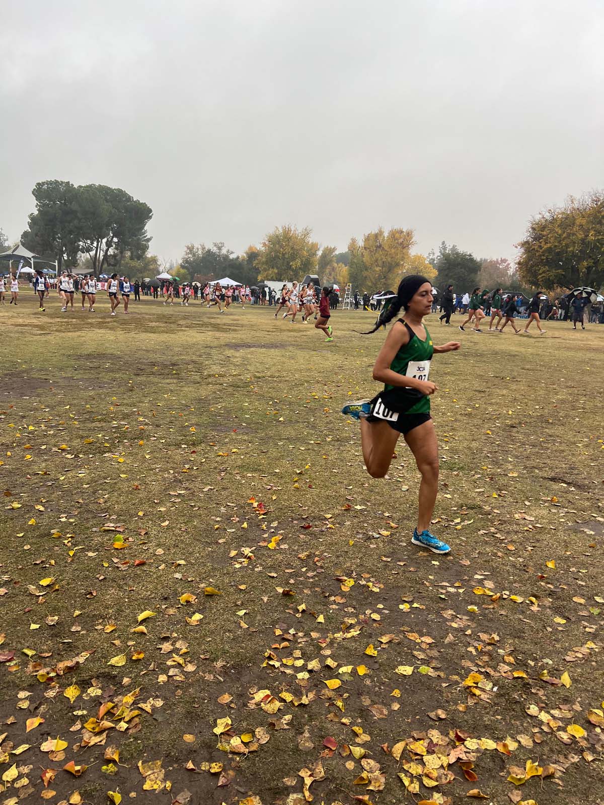 Cross Country competes at State Championship.