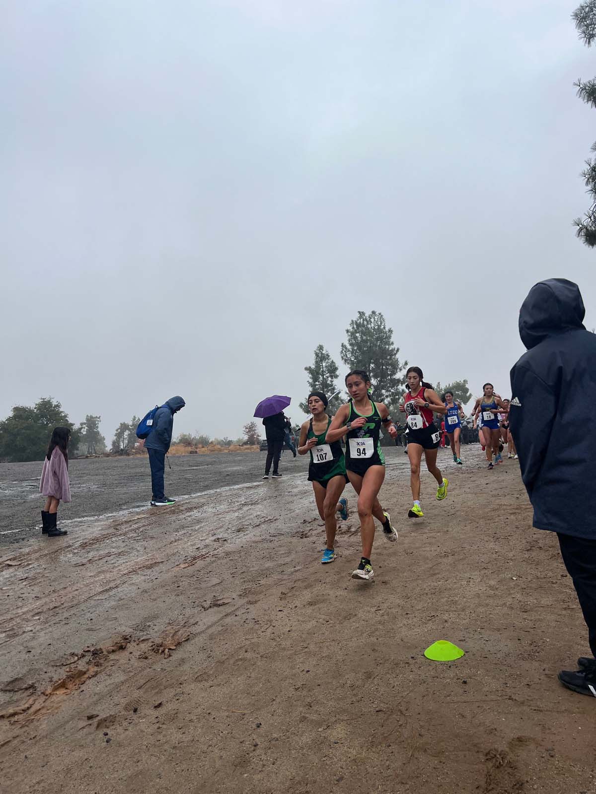 Cross Country competes at State Championship.