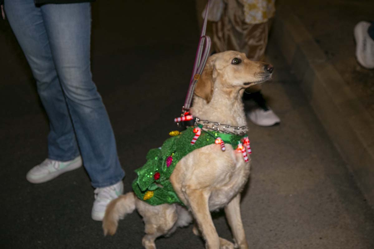 Students & staff attend the Redlands Holiday Parade.