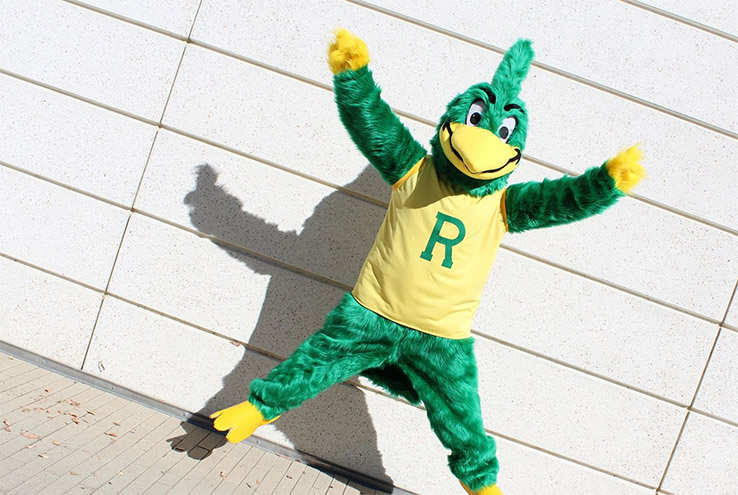 Photo of Ryker, a green roadrunner